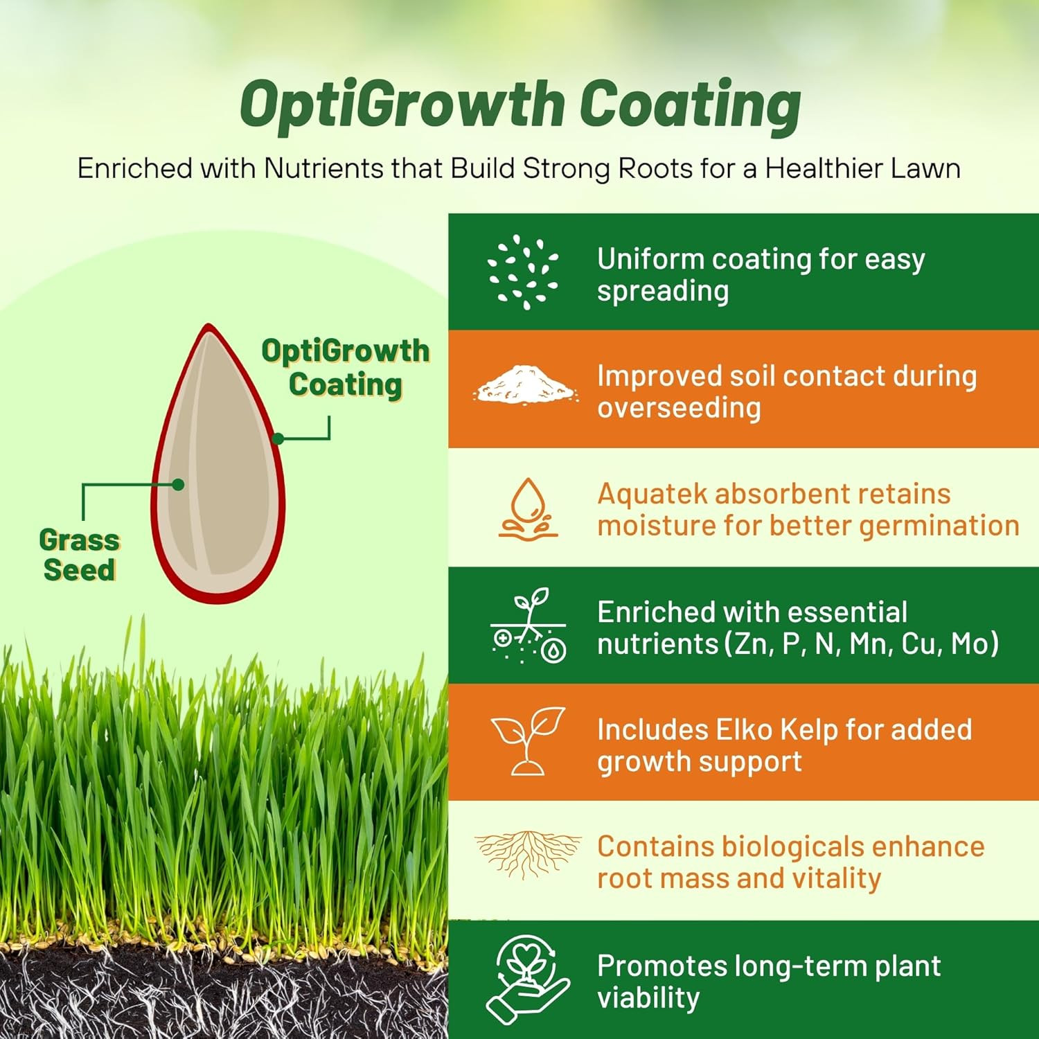 Outsidepride Combat Extreme Northern Zone – 10 Lbs Cold-Hardy, Drought-Resistant