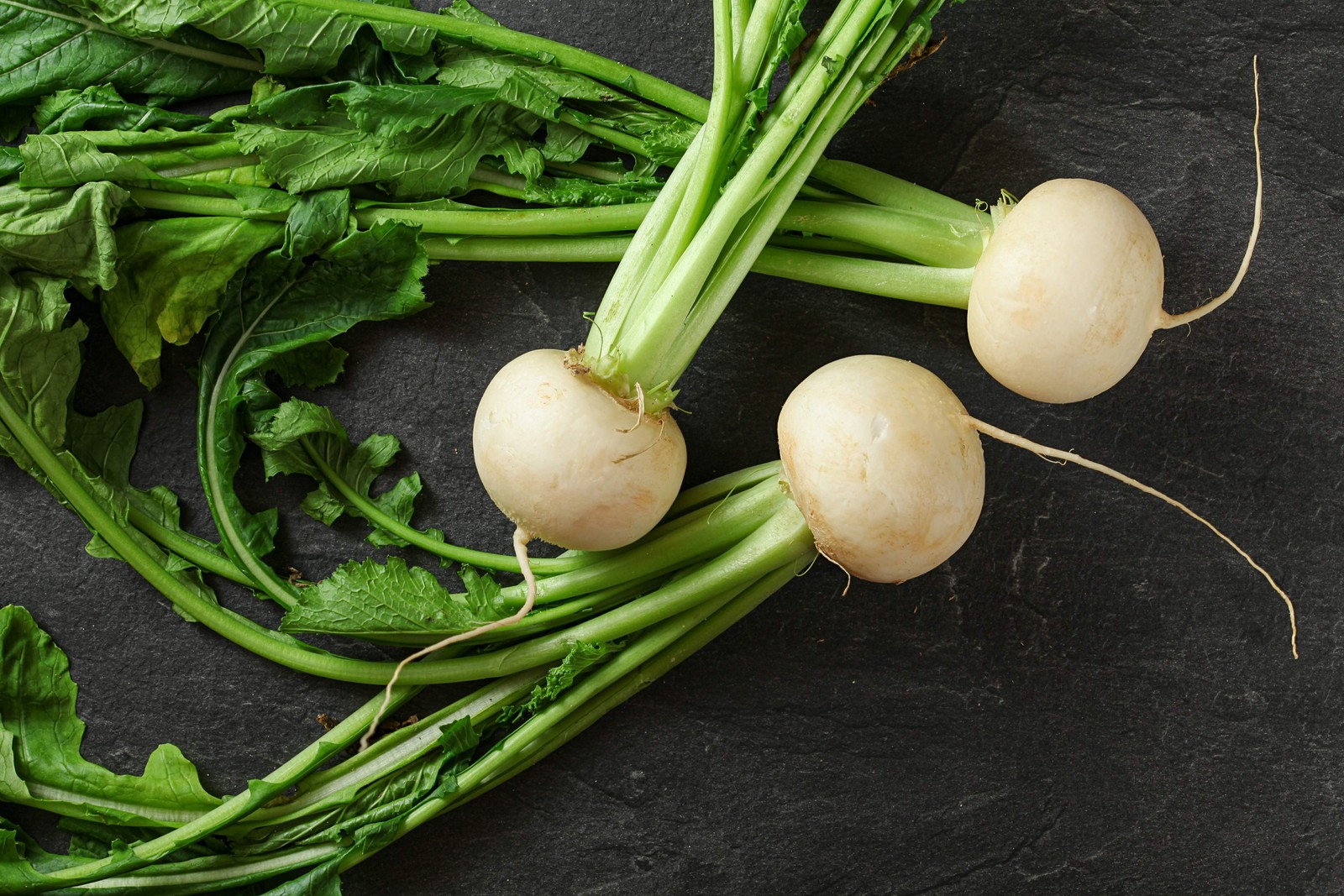 500 Hailstone WHITE GLOBE RADISH Raphanus Sativus Vegetable Seeds
