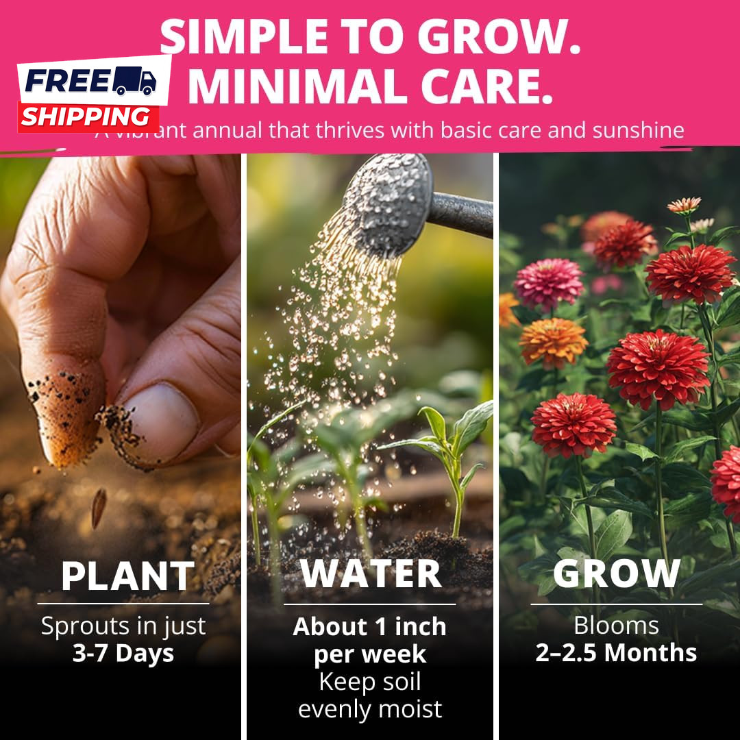 Zinnia Dahlia Seeds Pack for 2026 Non GMO 524 Flower Seeds Vibrant Zinnia Elegan