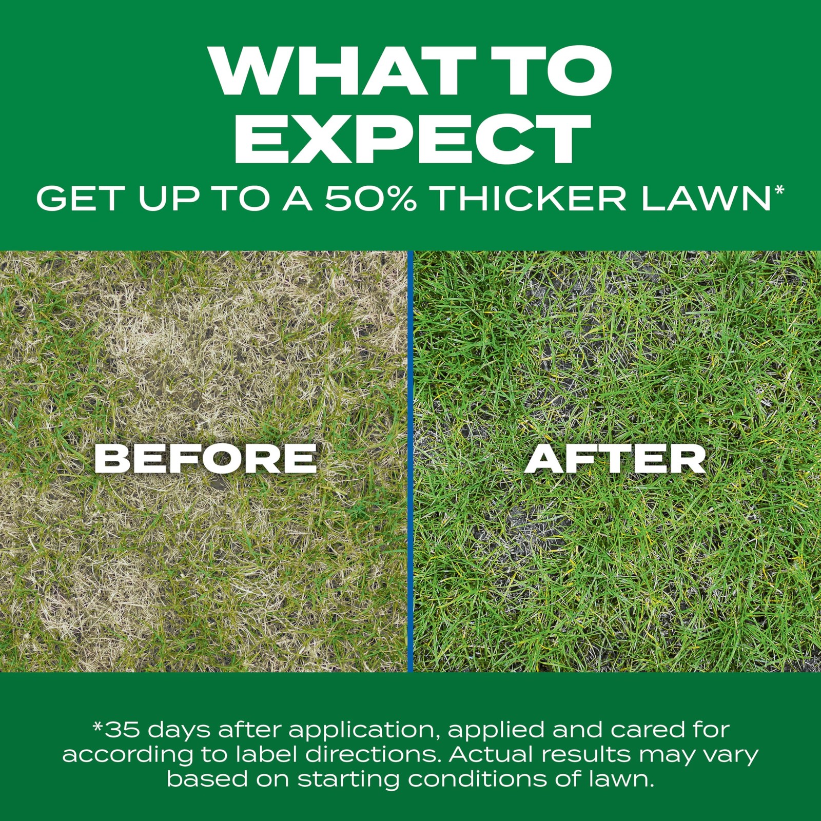 Scotts Turf Builder Thick’R Lawn Sun and Shade, Combination 10 lb., Brown