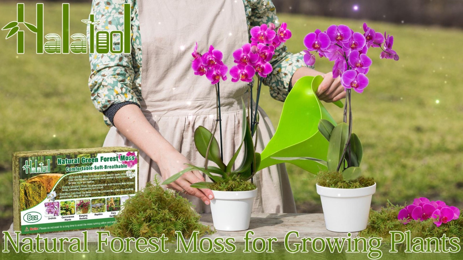 Sphagnum Moss for Plants 2.2LB 50QT Green Natural Long Fiber for Orchid