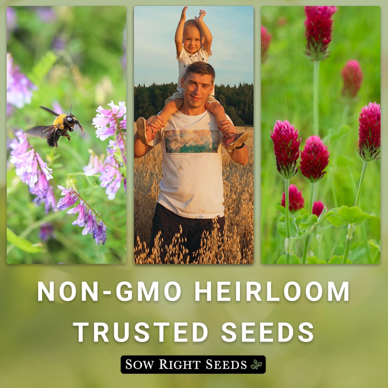 Cover Crop Seeds for Planting – Winter Rye, Dutch Clover & Oats – Non-GMO