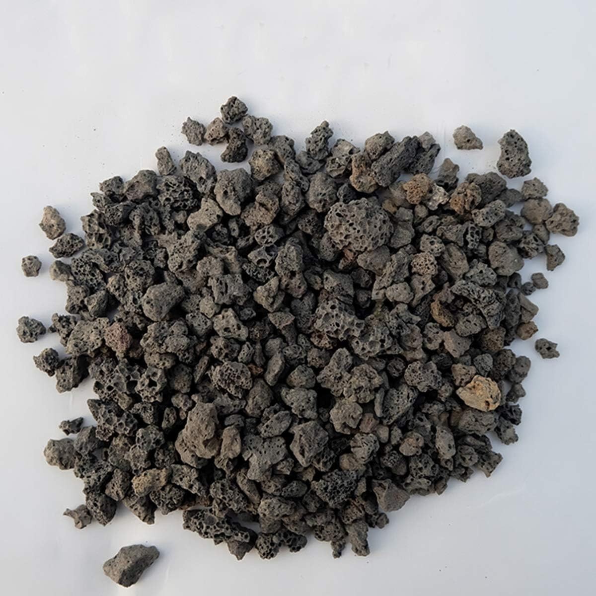 Irregular Black Lava Rock Top Dressing for Orchids and Acid-Loving Plants
