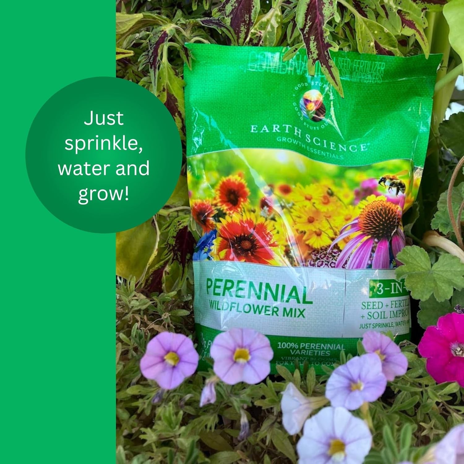 3-in-1 Perennial Wildflower Mix – Covers 1,000 Sq Ft with Natural Ingredients