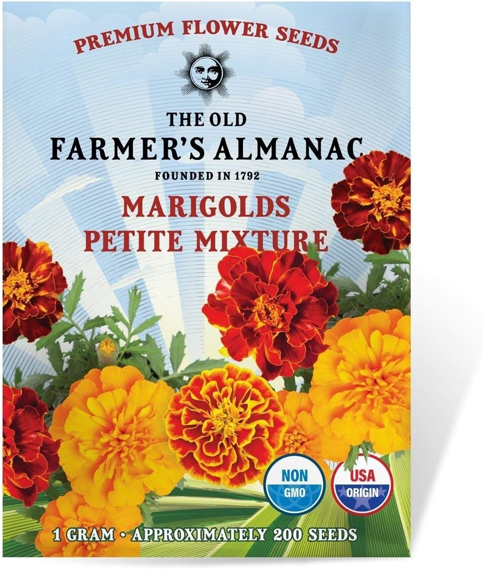 Orange Red Yellow Marigold Seeds – Easy Grow Fragrant Pollinator Attractor