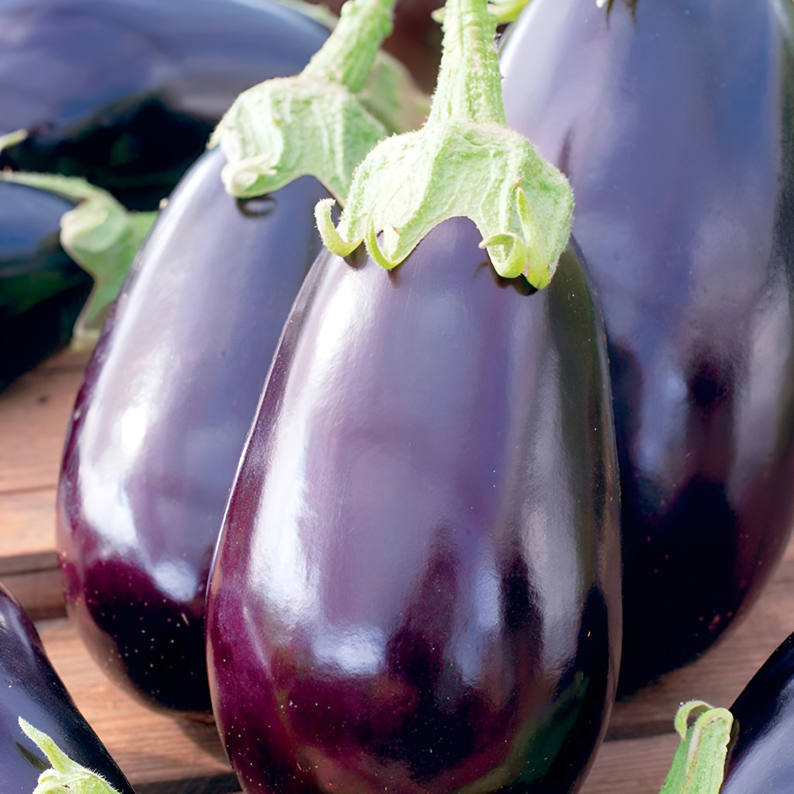 350 Heirloom Black Beauty Eggplant | Aubergine Seeds – Large Garden Classic