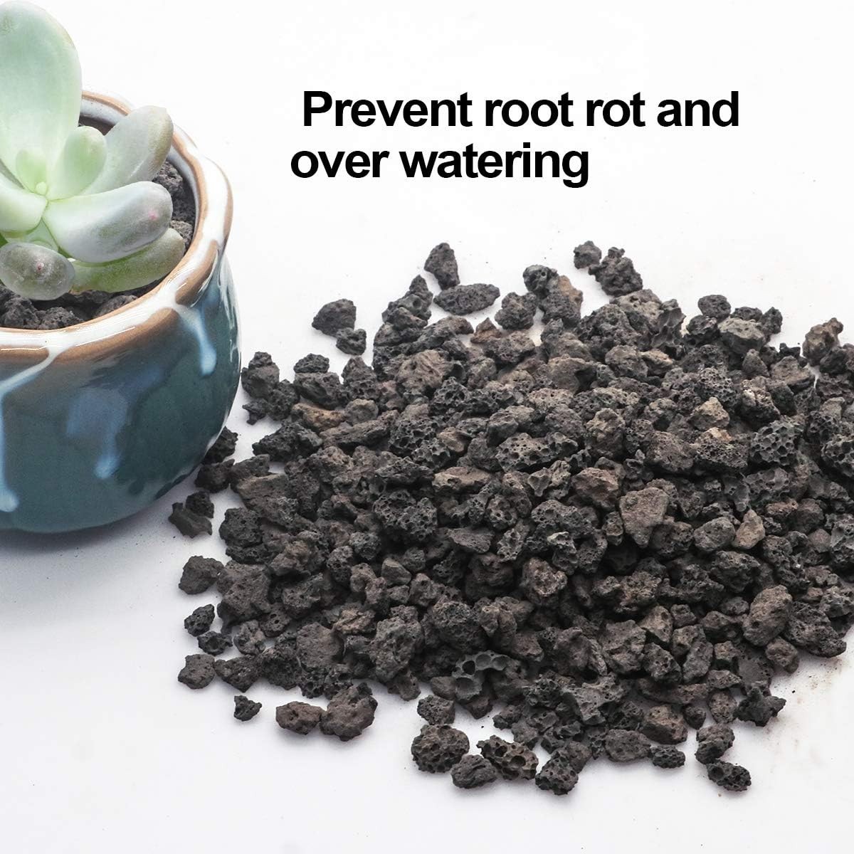 6lb Black Lava Rock for Plants, Natural Horticultural Volcanic Grit, Cactus S…
