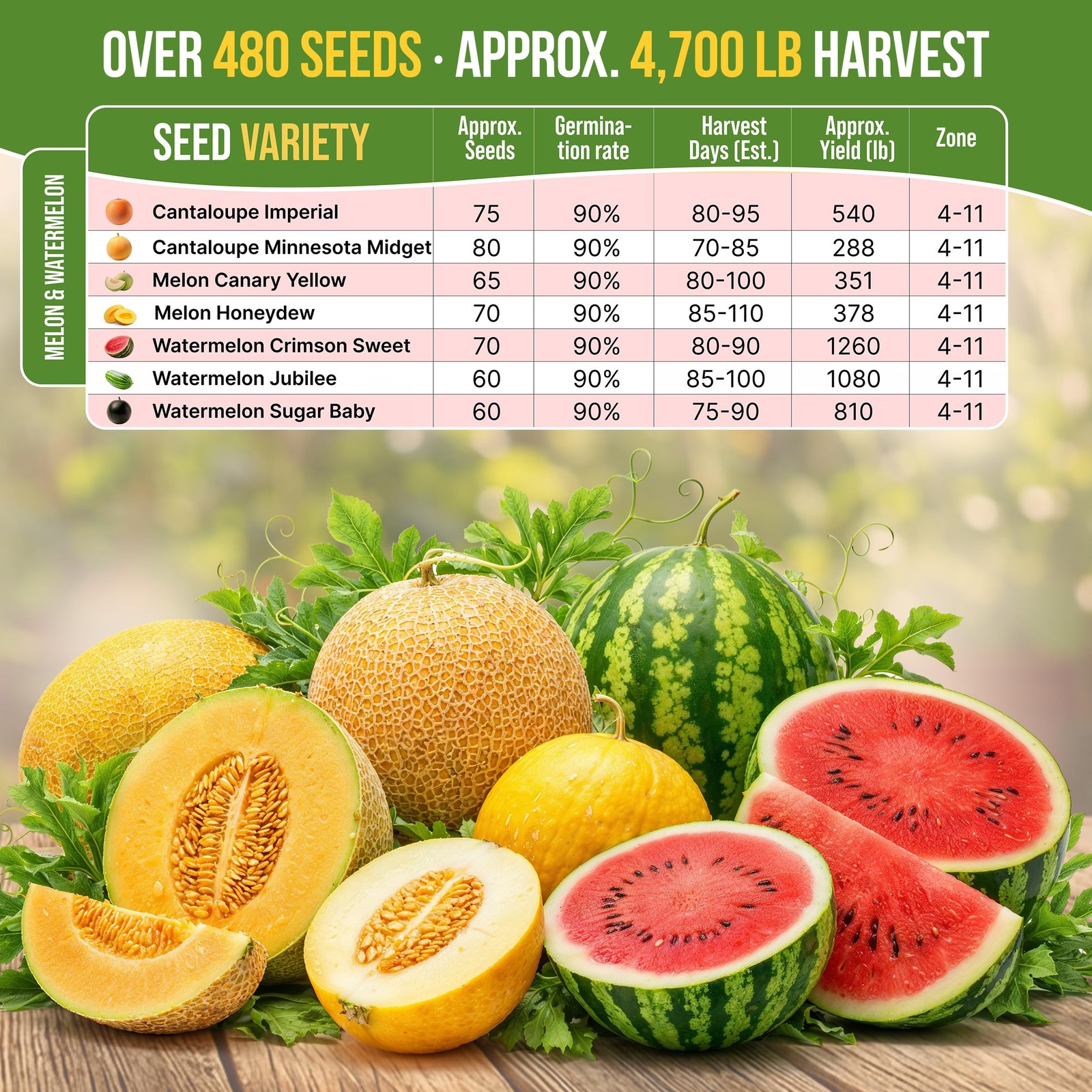 Organo Republic 7 Melon & Watermelon Seeds Variety Green, Red, Purple, Yellow