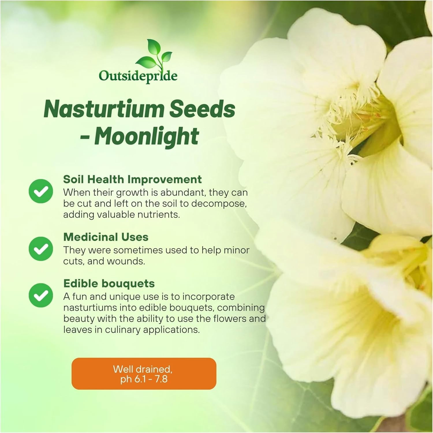 400 Seeds Nasturtium Seed – Climbing Moonlight Flowering Vine Seeds