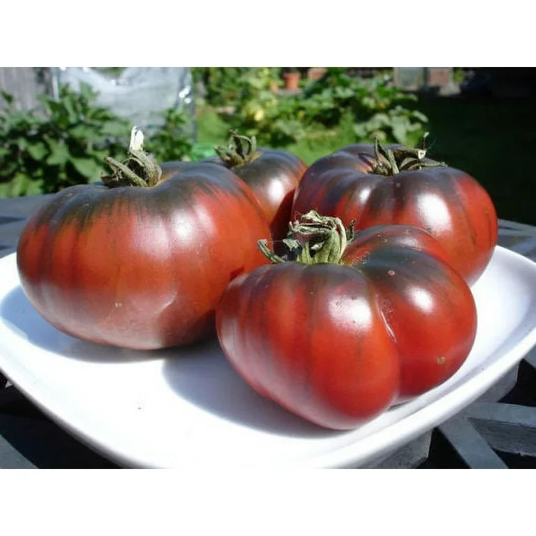 30 BLACK KRIM TOMATO SEEDS ~ heirloomseedguy ~ 2026 ~ NON-GMO