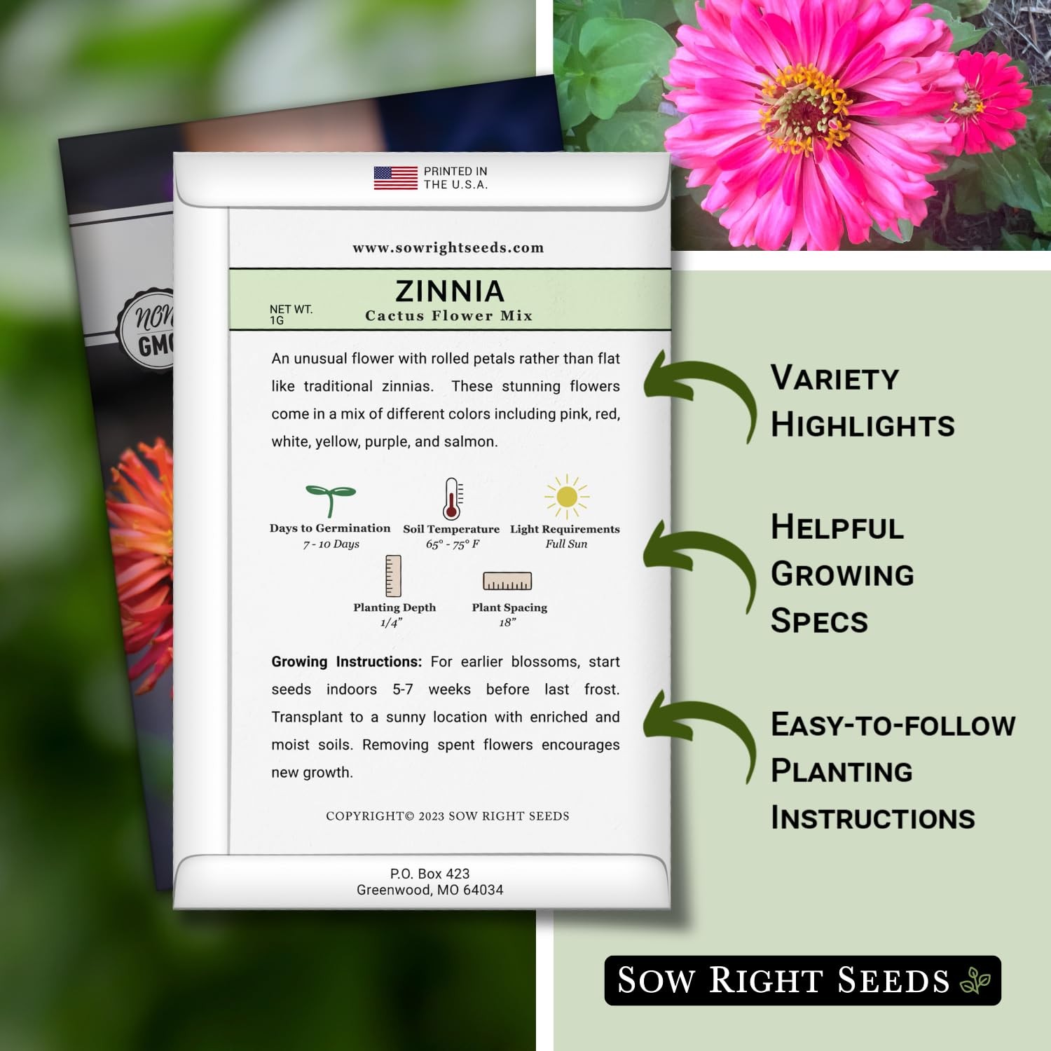 Zinnia Cactus Flower Seeds NonGMO Heirloom for Garden Attract Pollinators