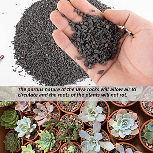 3lb Black Lava Rock for Plants – Horticultural Volcanic Soil for Landscaping, Bo
