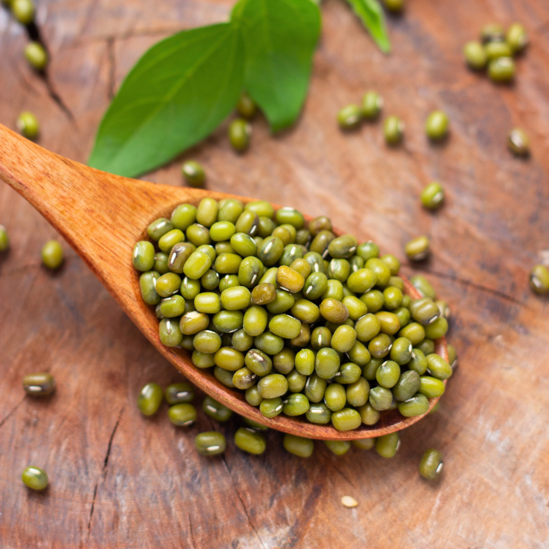 Fresh Green Gram Seeds | Moong | Mung Bean | Heirloom Non-GMO | Asian Vegetables