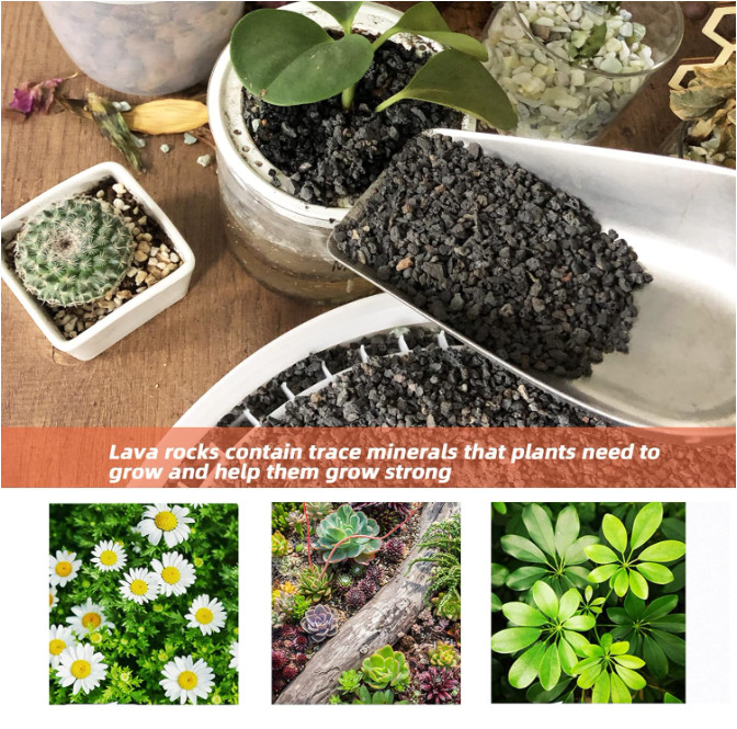 18lb Black Lava Rock for Plant, 1/8-1/4 inch Horticultural Volcanic Rock Soil…