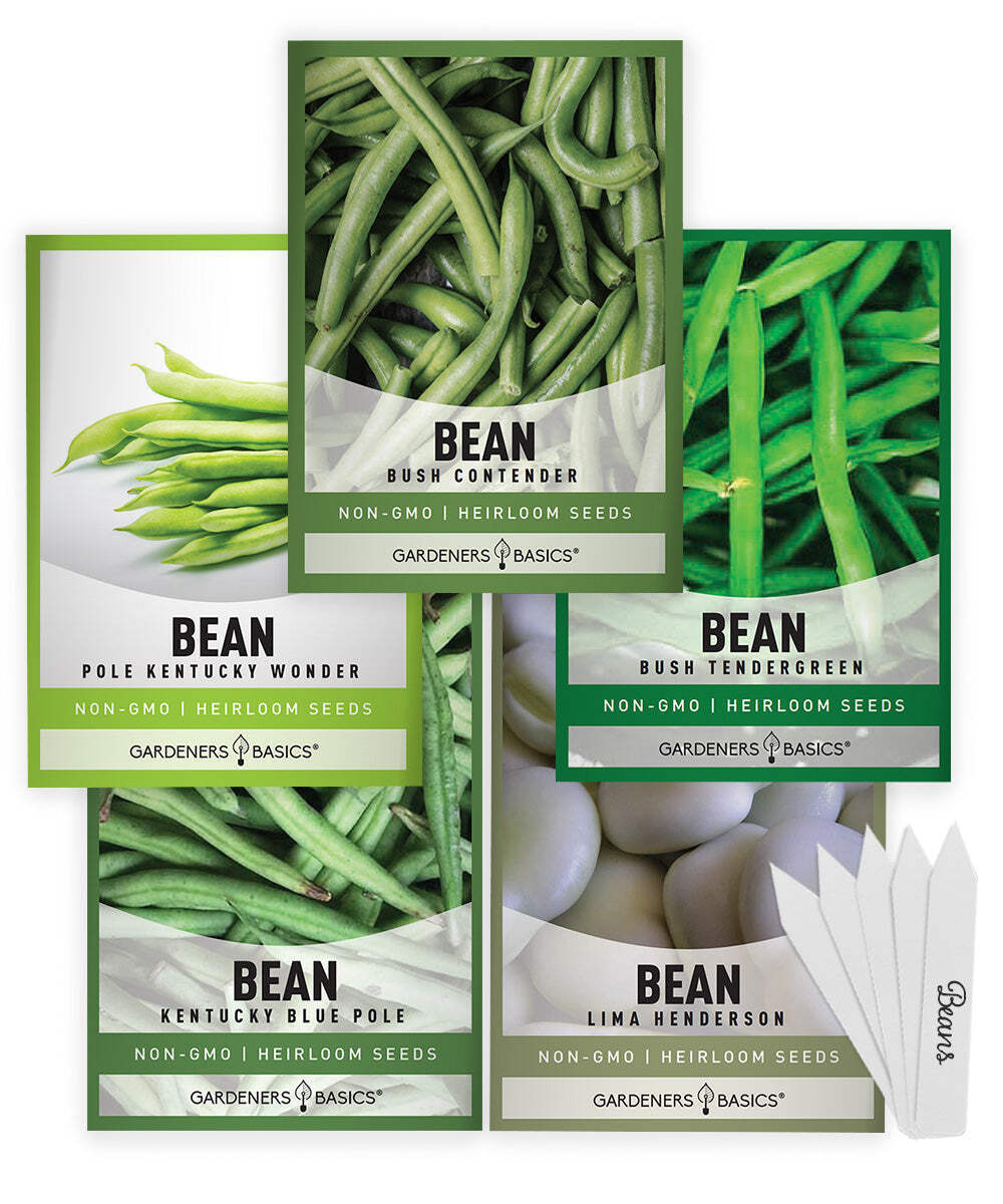 Bean Seeds For Planting | 5 Variety Pack