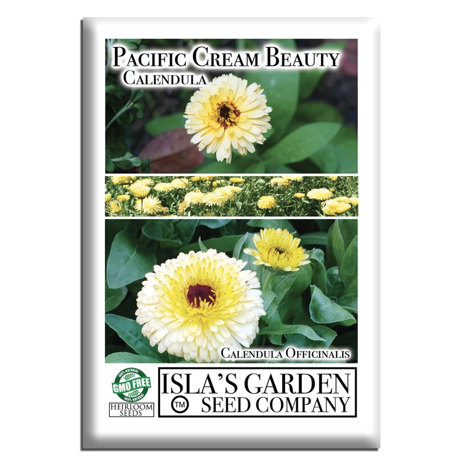 Pacific Beauty Cream Calendula Seeds (Calendula officinalis) – 250+