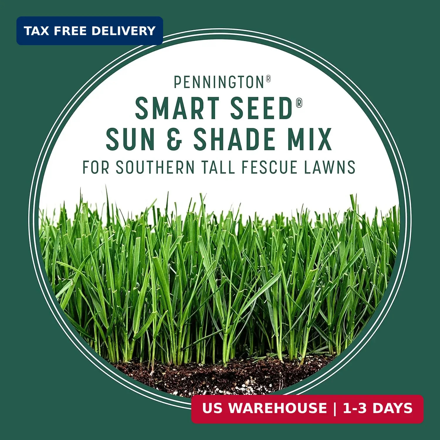 Pennington Smart Seed Sun & Shade Mix South, Tall Fescue Grass Seeds for Lawn, 3