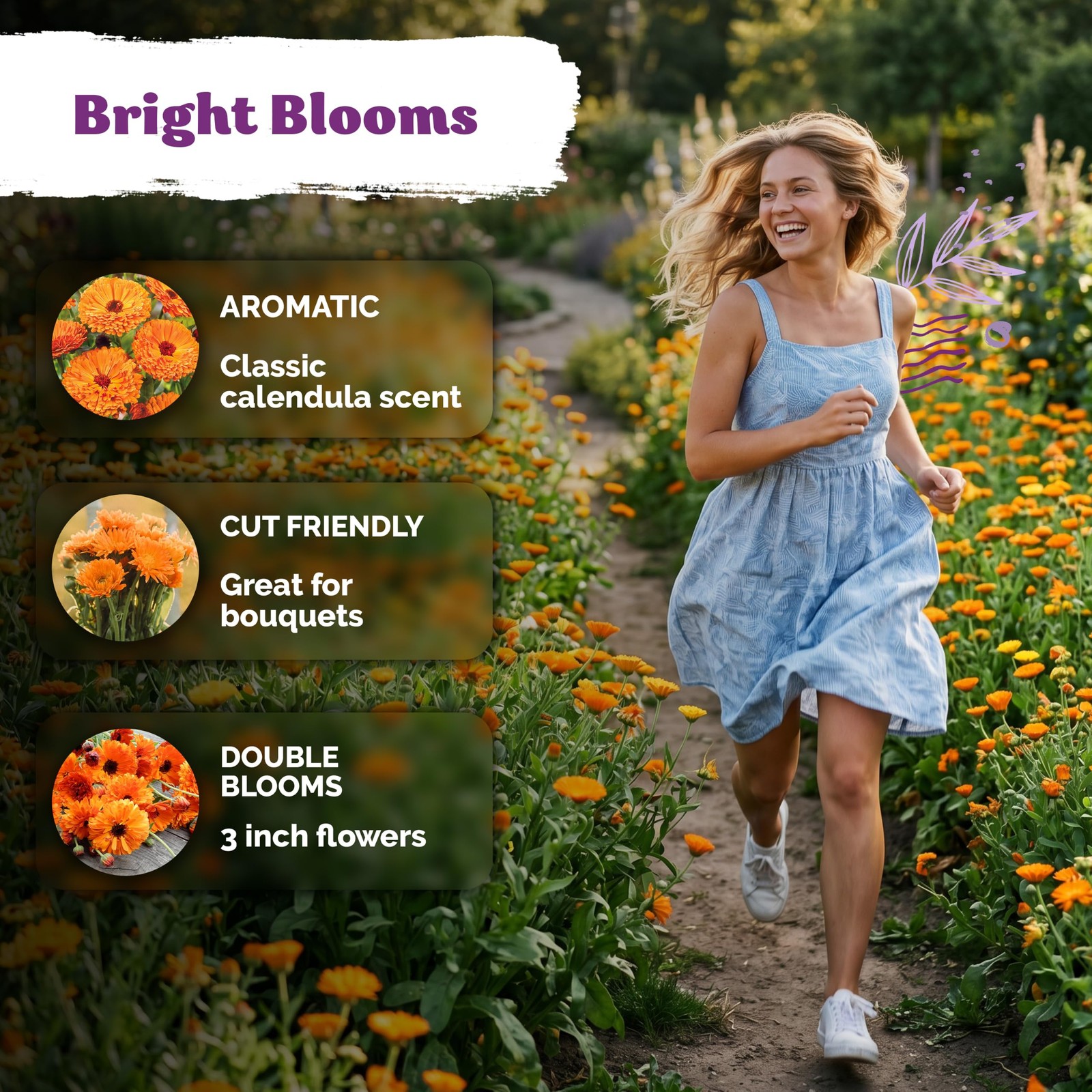 KVITER 500 Ball’s Orange Calendula Seeds (Calendula Officinalis)