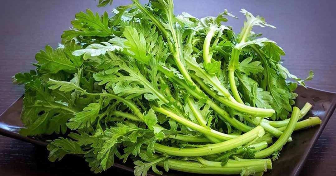 Chrysanthemum Greens Seeds Shungiku Tong Ho Tan O Cai Cuc Non-GMO Asian Green