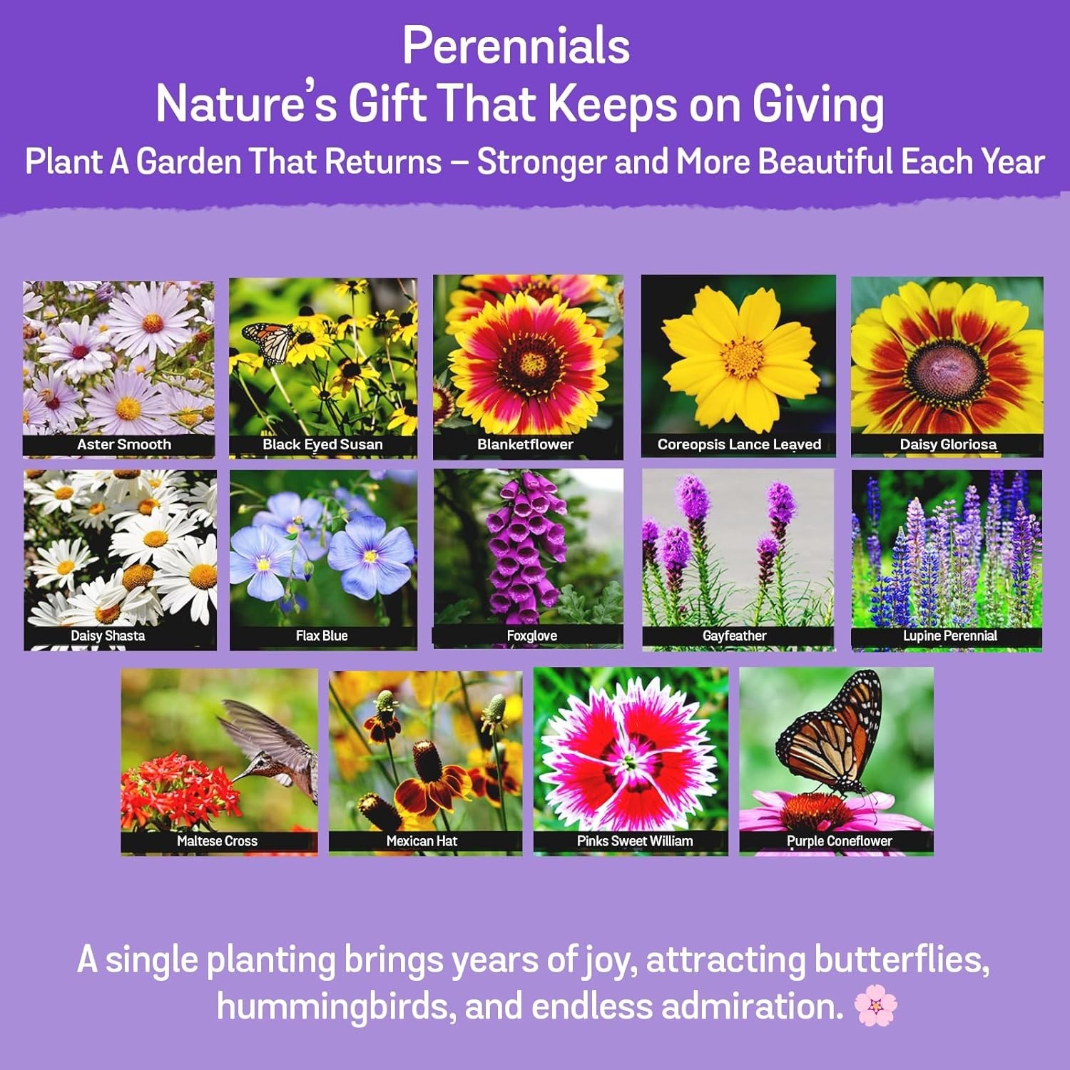 Annual & Perennial Flower Seed Variety Pack