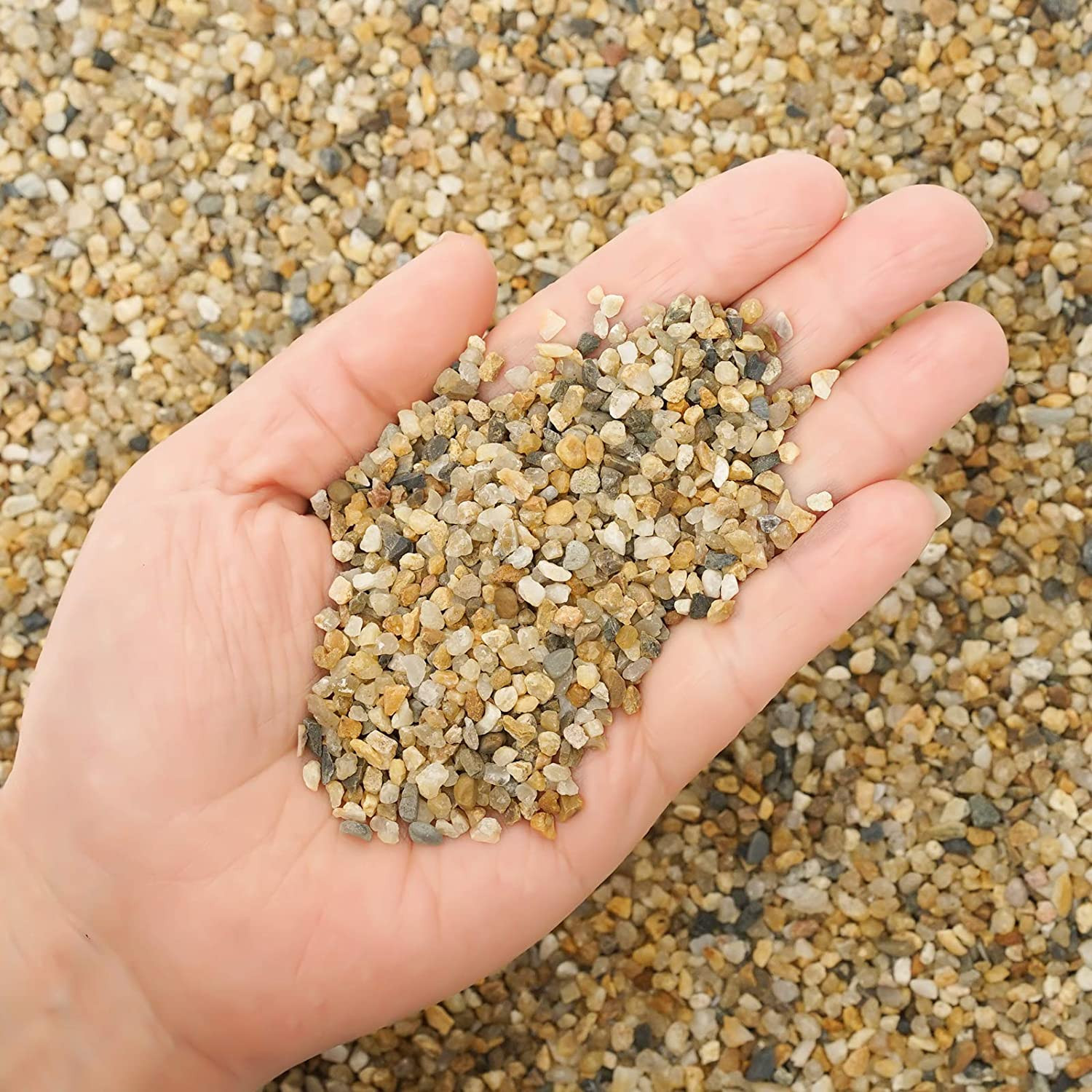 5 lb Coarse Sand Stone – Succulents and Cactus Bonsai DIY Projects Rocks, Decora