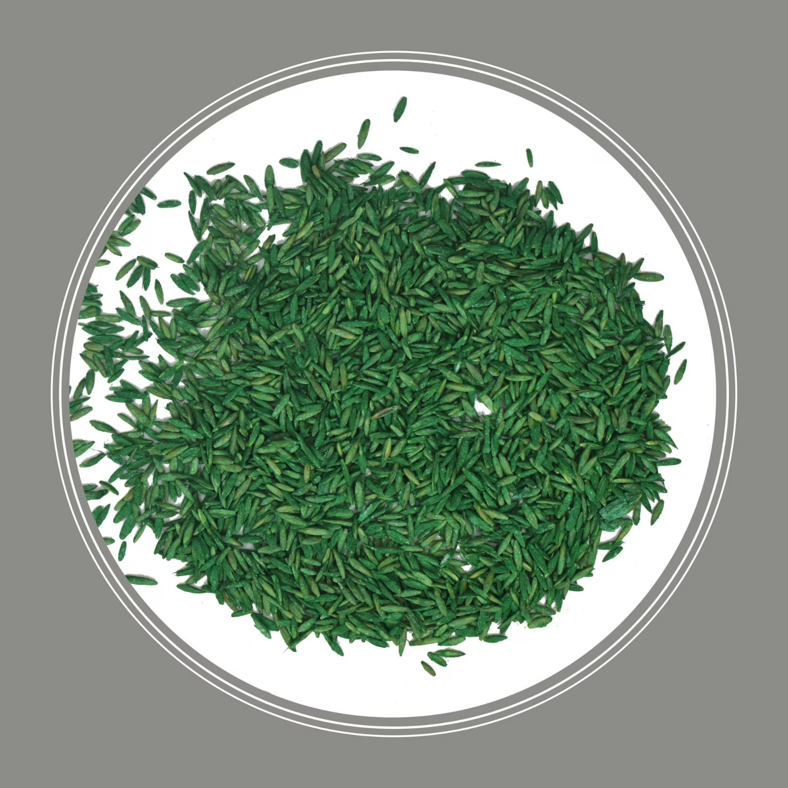 Pennington Contractors Central Zone Grass Seed Mix Sun Partial Shade 20 lb – New