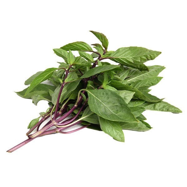 Thai Basil Seeds 150+ Ocimum basilicum Khmer Chi Neang Vorng (Anise Licorice)