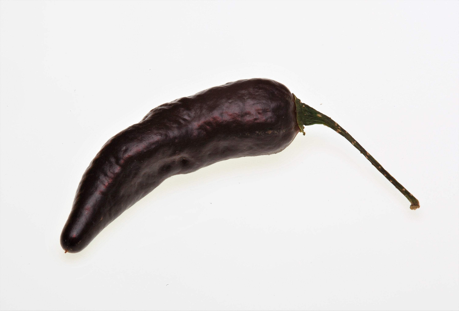 20 ROYAL BLACK PEPPER Capsicum Annuum Very Hot Chilli Vegetable Seeds *Flat Ship
