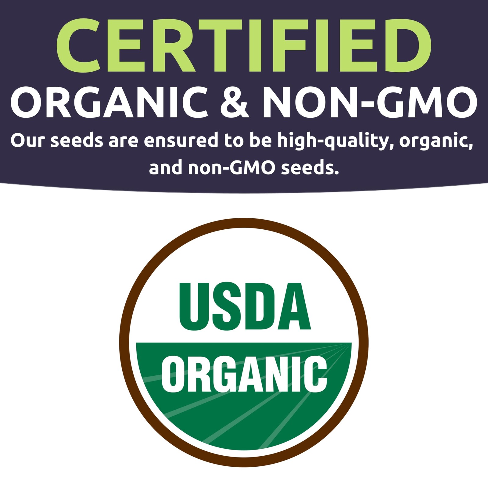 Organic Watermelon Seeds Variety Pack – 6 Non-GMO Packs for Planting