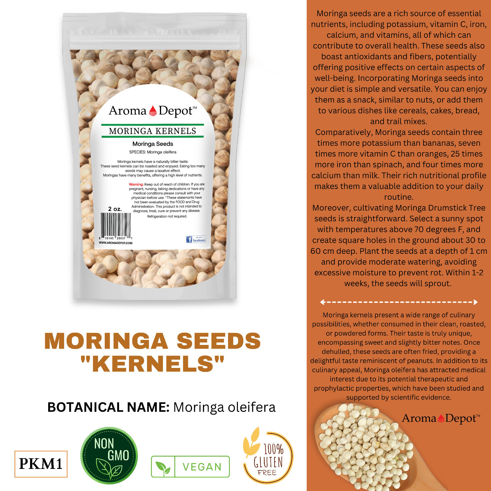 Moringa KERNELS 2 oz. Seeds oleifera Shelled 250 Semilla De Moringa Wholesale