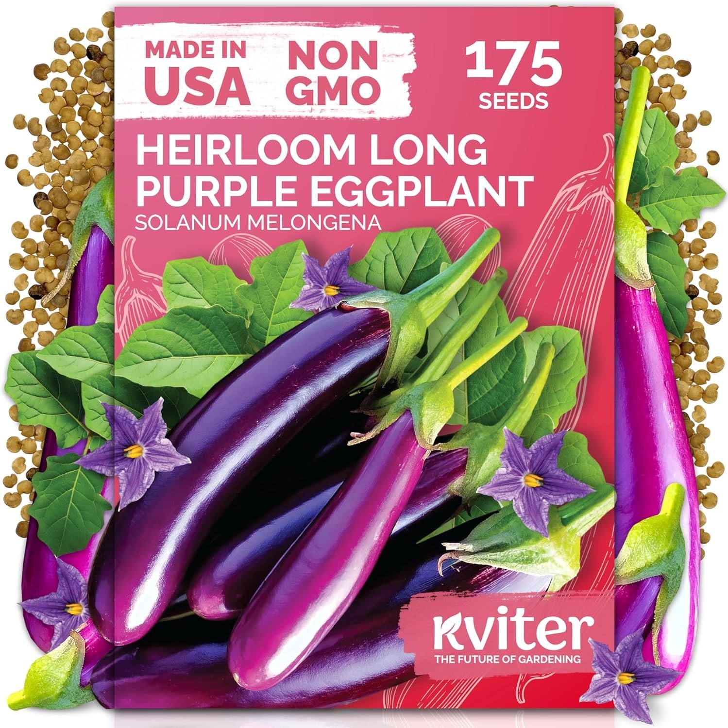 175 Long Purple Italian Eggplant Seeds – Ideal for Container Gardens & Beds
