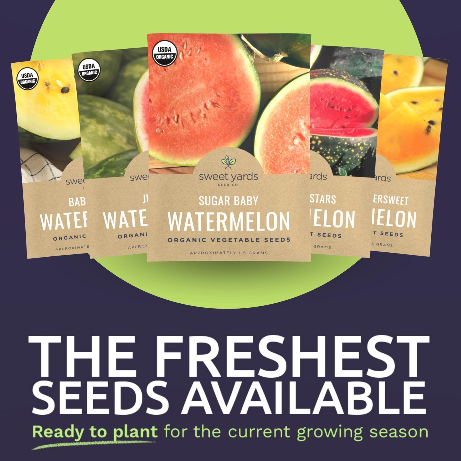 Organic Watermelon Seeds Variety Pack – 6 Non-GMO Packs for Planting