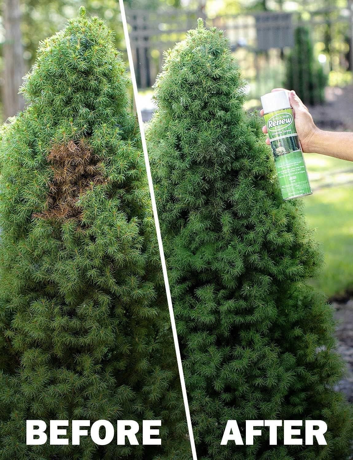 Pristine Green Grass & Shrub Cover Spray, 17oz – Quick-Dry, Waterproof Solution