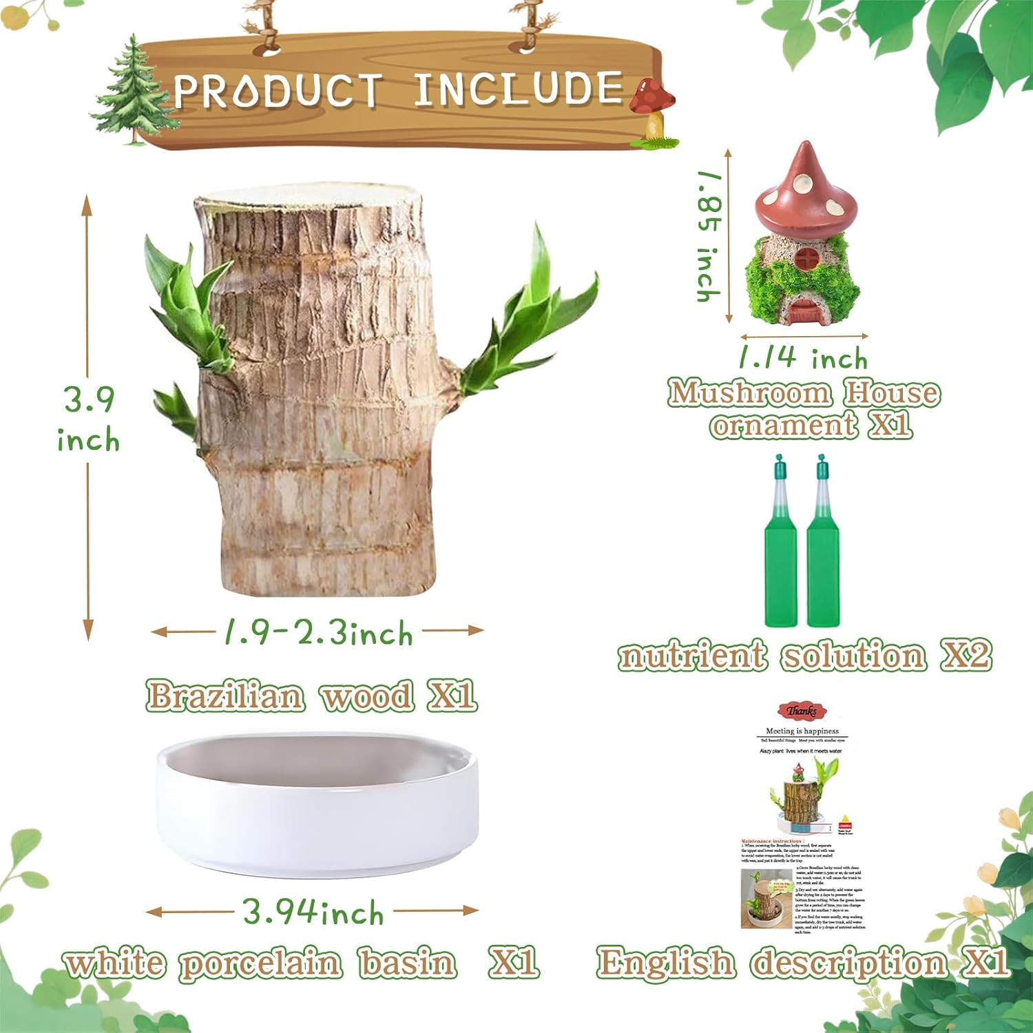 Brazilian Lucky Wood Plant,Fortune Brazil Wood Potted Plant with Mushroom House