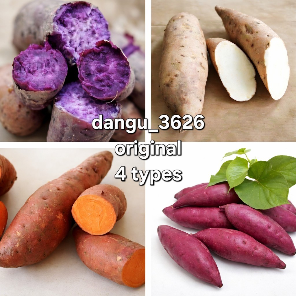 20 Sweet Potato Slips – White Cuban + Okinawa + Beauregard Mix – Red Japanese
