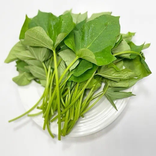 20 Slips Sweet Potato Slips Cutting Vines Ready To Plant