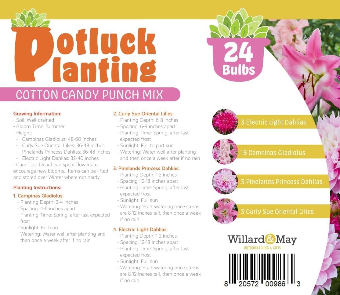 All-in-One Flower Bulb Garden Kit – Cotton Candy Punch Mix