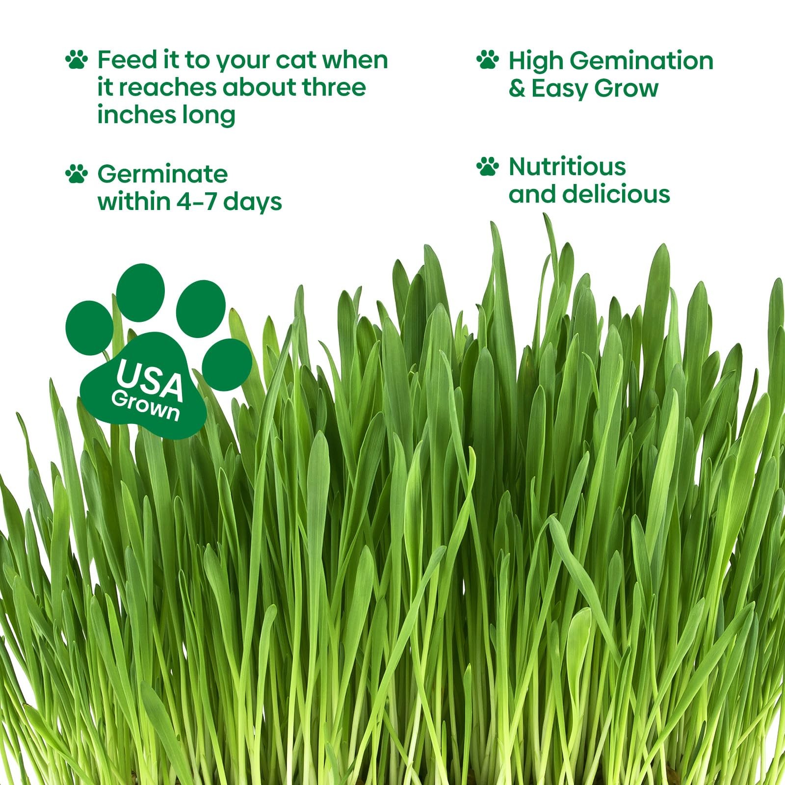 Cat Grass Seeds, Barley, Oats, Wheat, Rye 4 Varieties, Non-GMO Grow in 4-7 Days