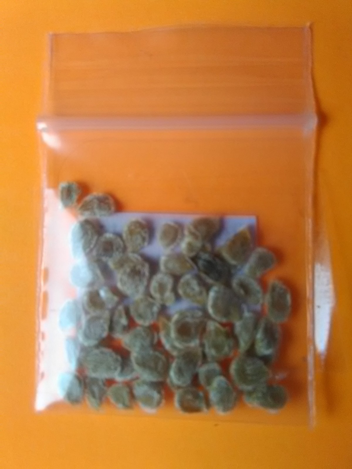 Herb 2-A