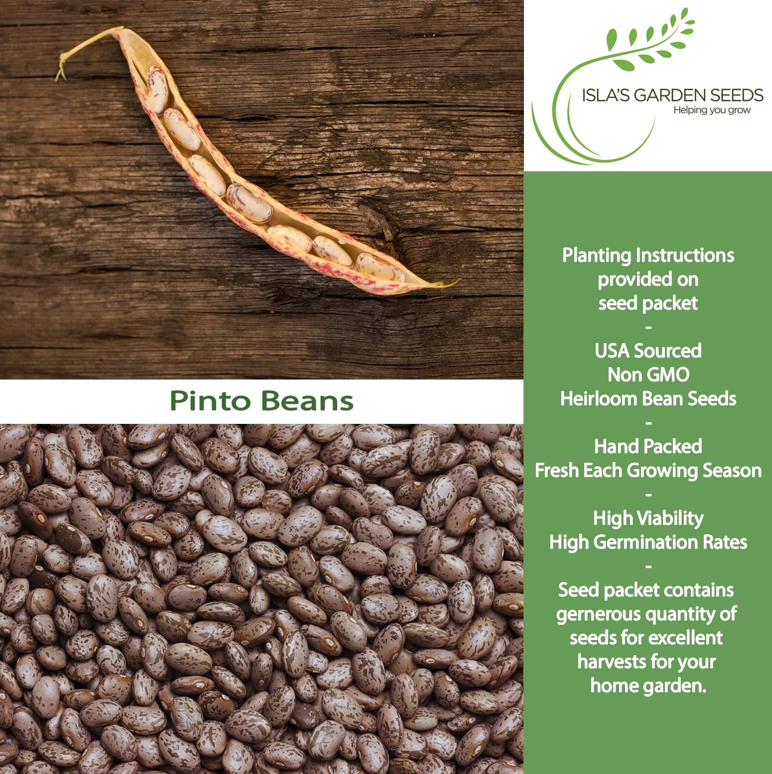 Pinto Bean Seeds (Phaseolus vulgaris) – 30+ Non-GMO Heirloom Seeds by Isla’s …