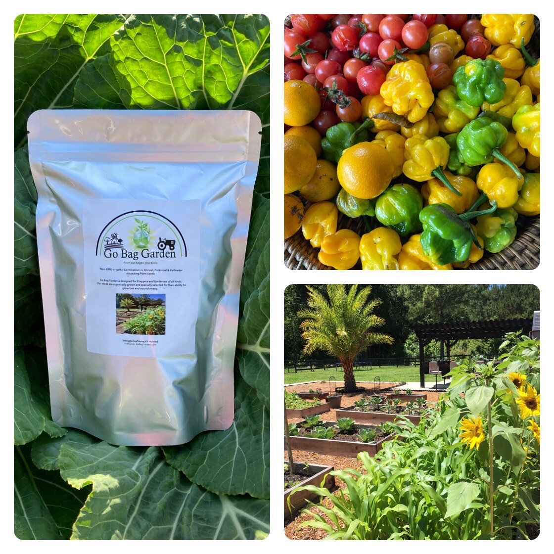 Survival Heirloom Seed Bank Vegetable Medicinal Fruit Herb Garden 50+ Varieties