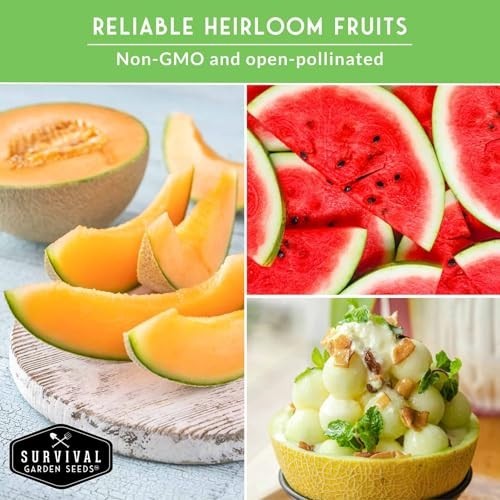 8 Variety Fruit Seeds Pack – Watermelon, Cantaloupe, Strawberry & More – Non-GMO