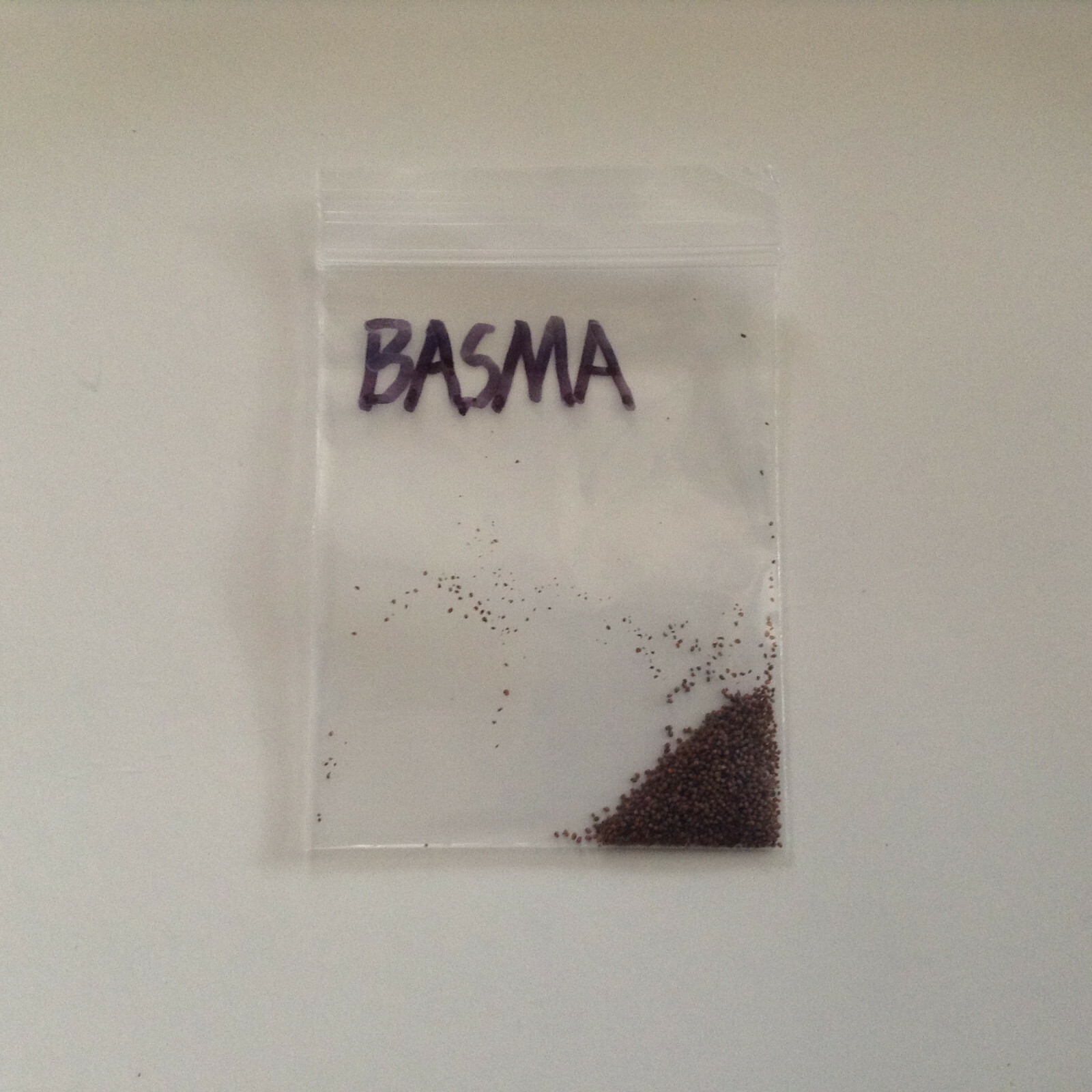 Basma Tobacco – Nicotiana seeds (1000+ per packet)
