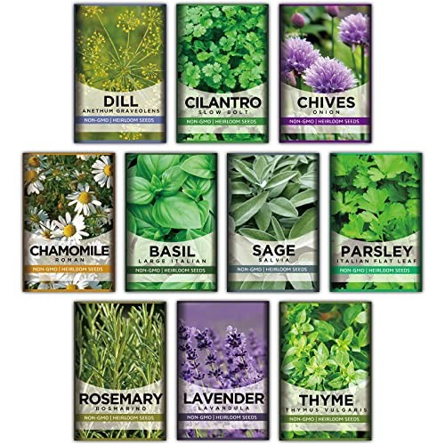 Meekear 10 Kit Non-GMO Growing into Thyme, Lavender, Chamomile, Dill, Chives, Ci