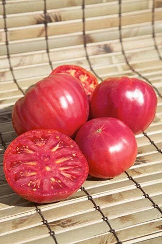 Lot of 6 PINK BRANDYWINE Live Heirloom Tomato Plant 60+ Days Old