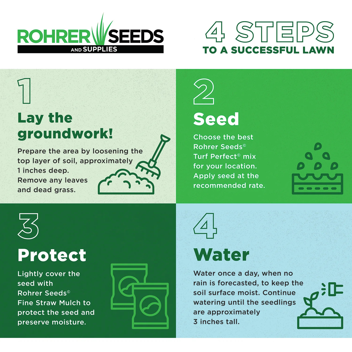 Rohrer Seeds Shade and Sun Grass Seed