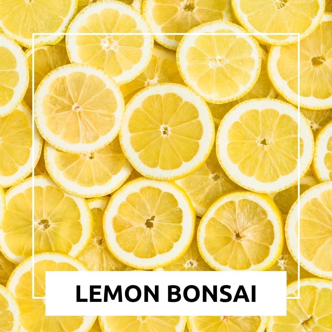 Exotic Lemon Bonsai Tree Seeds – 20 Rare Organic Fruit Patio Garden Cultivation