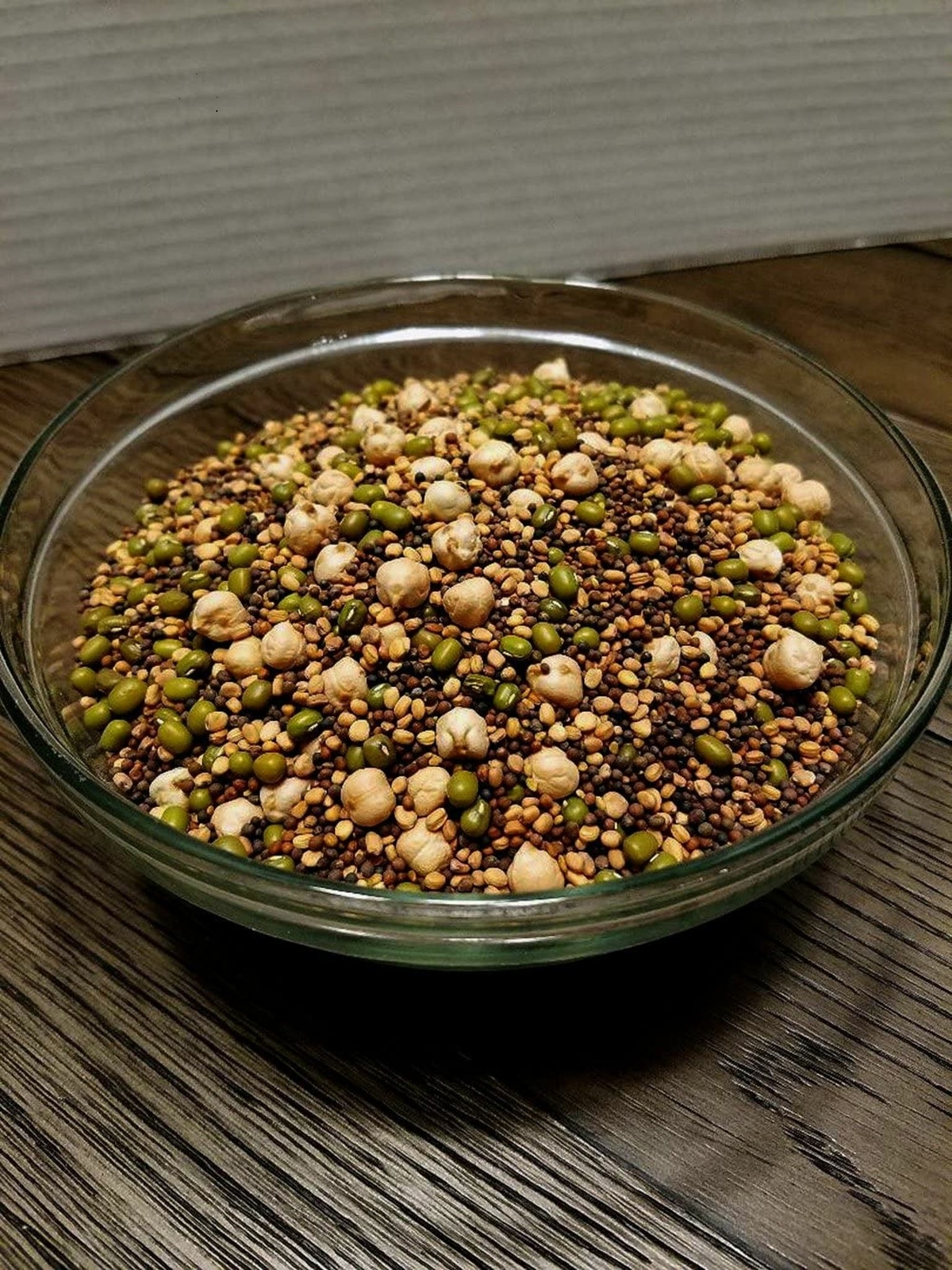 The Salad Bar Mix Seeds for Sprouting microgreens, “COOL BEANS n SPROUTS” Brand.