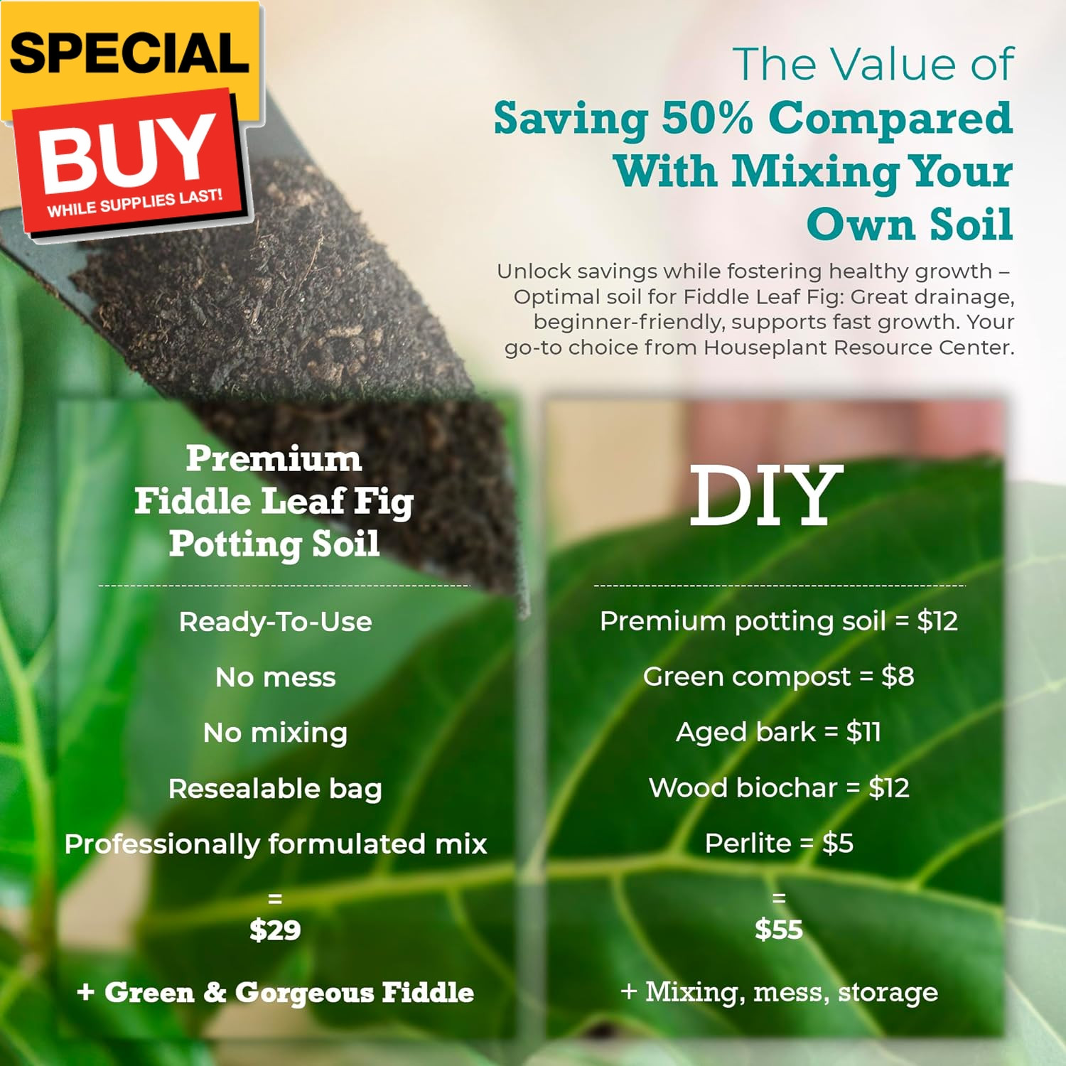 Fiddle Leaf Fig Potting Soil Mix by Fiddle Leaf Fig Plant Resource | Premium Org