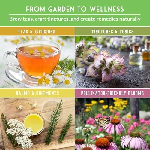 Heirloom Medicinal Herb Seeds Variety Pack – 36 Non-GMO Healing Herbs for Wellne